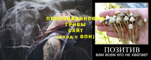 mdpv Каменск-Шахтинский